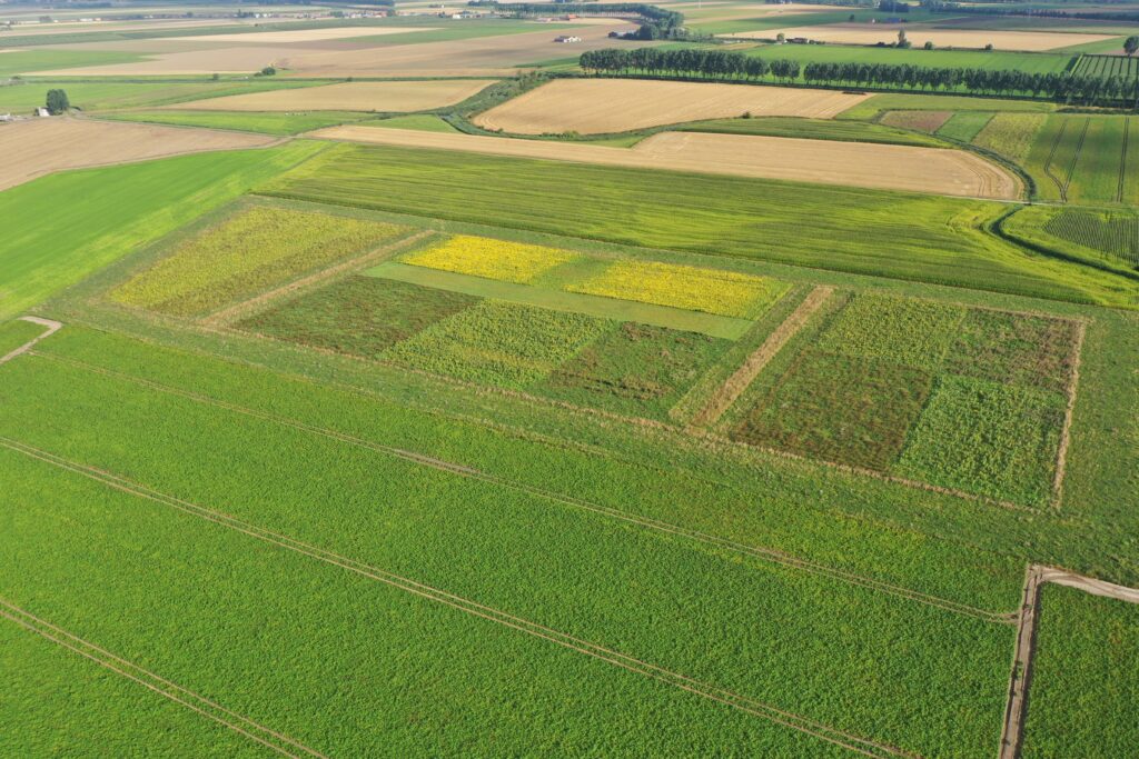 Wat als... boeren zelf hun beheerovereenkomsten mochten ontwerpen?