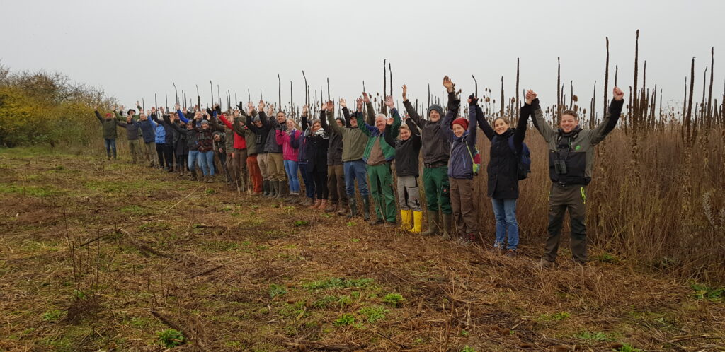 De patrijs als sleutel tot succes in herstel van landbouwbiodiversiteit