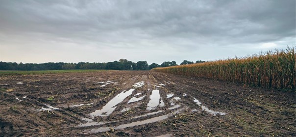 Onderzoek bodem (de)compactie op Kempische velden, doe jij mee?
