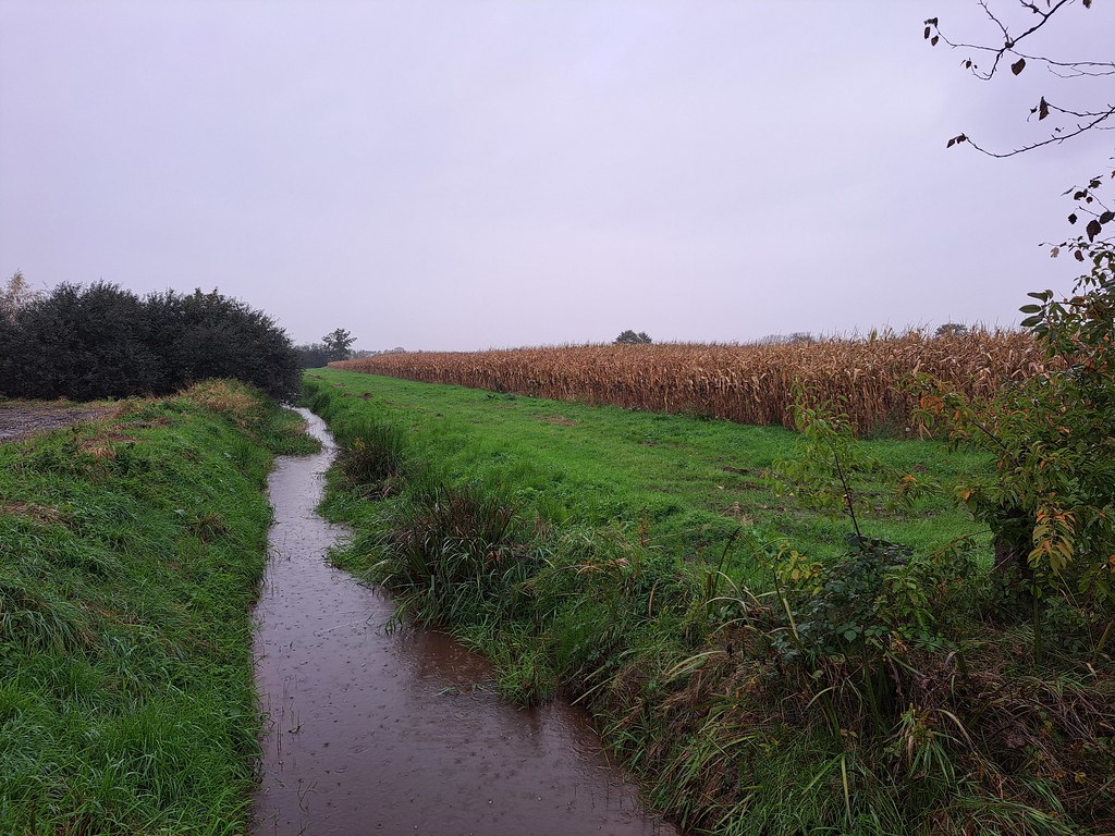 Bufferstroken en agro-ecologie in de praktijk