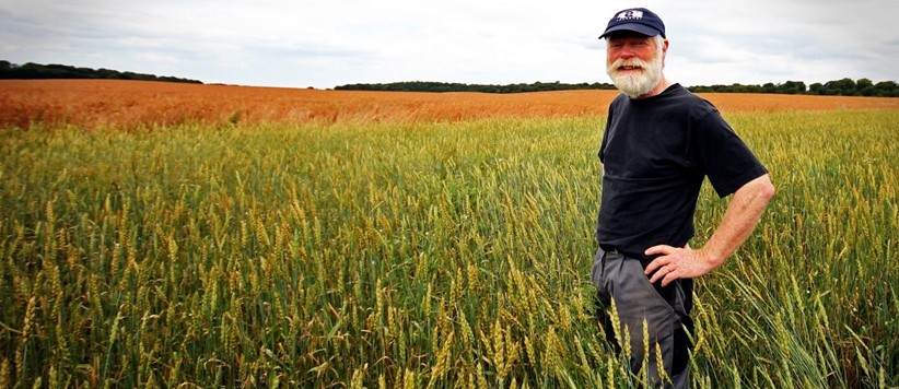 Webinar Koolstofboeren: Praktisch aan de slag met koolstofopslag