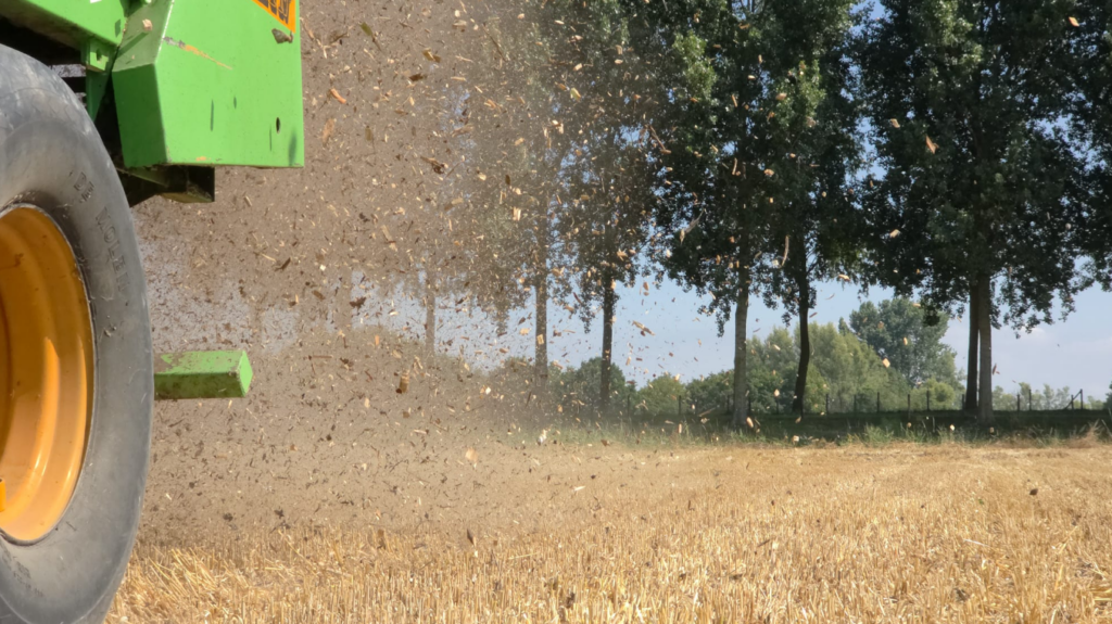 Houtsnippers en koolstofopslag in de bodem