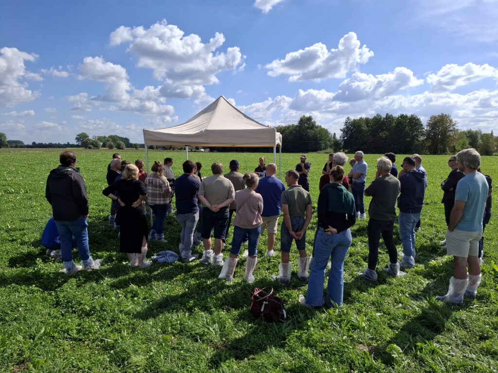 Demonstratie kruidenrijk grasland lokt veel belangstelling in Oostkamp